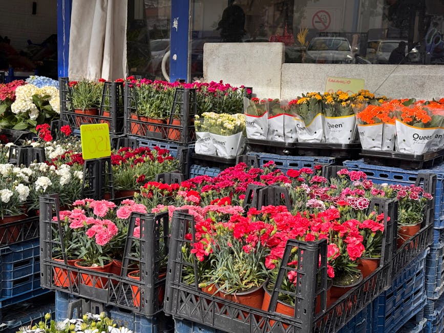 Outdoor display of various potted flowering plants at a florist shop, including clusters of pink, red, white, and orange blooms arranged in black plastic crates. The flowers include carnations and chr