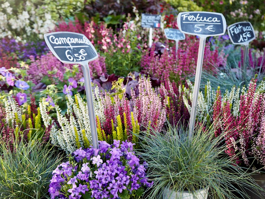 A vibrant display of flowering plants at a garden center, featuring purple, white, pink, and green hues. In the foreground, a cluster of purple petunias sits at the base of a small, white pot, with a 