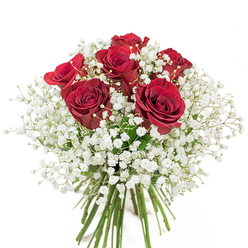 Designed by local Harold Hill florists with an eye for timeless elegance, this bouquet assembles a stunning display of velvety, fully open red roses surrounded by gentle clusters of white baby's breath. The vibrant crimson petals spiral out in harmony, each rose positioned to draw the eye, while the baby's breath mists between them with cloud-like lightness. The presentation is both lush and compact, nestled in a gleaming clear glass vase that reveals their intertwined green stems-fresh as the morning air along Hilldene Avenue. Natural light highlights the rich reds and soft whites, adding a romantic radiance reminiscent of garden strolls through Harold Hill's quiet lanes. The varying textures-smooth rose, delicate gypsophila, cool glass-invite touch and admiration. Perfect for celebrating anniversaries, declarations of love, or simply brightening an ordinary day, this bouquet weaves together the natural beauty, community warmth, and expert artistry that define floral gifting in Harold Hill.